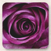 Elegant Purple Rose Close Up コースター (正面)