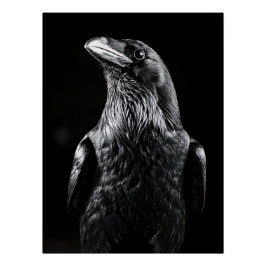 Elegant Raven Minimalist Black and White Portrait ポスター