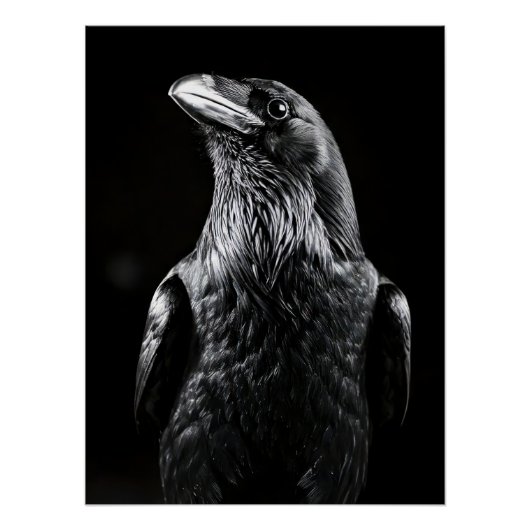 Elegant Raven Minimalist Black and White Portrait ポスター (正面)