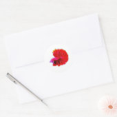 Elegant Red Rose Tail Betta Sticker - Luxury Flowi ラウンドシール (封筒)
