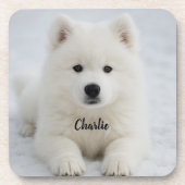 Elegant Samoyed Personalized Beverage Coaster Set コースター (正面)