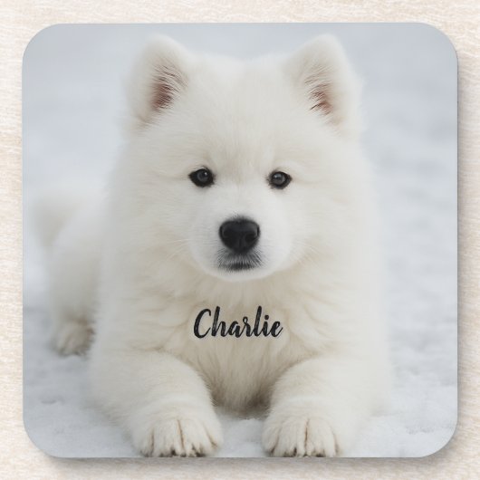 Elegant Samoyed Personalized Beverage Coaster Set コースター (正面)