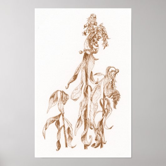 Elegant Seasonal Botanical Ink Art  Wall Poster ポスター (正面)