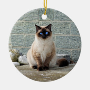 Elegant Siamese Cat Photo セラミックオーナメント