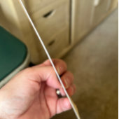 Elegant Simple Blue Roses Love is in Bloom Wedding 招待状