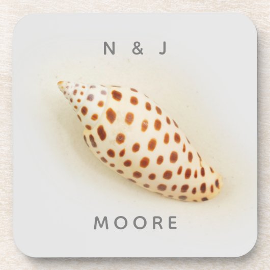 Elegant Tropical Junonia Florida Beach Shell Name コースター (正面)