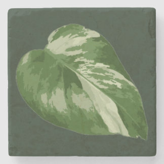 Elegant Tropical Leaf – Rare Plant Art ストーンコースター