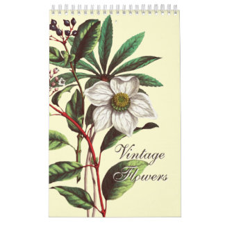 Elegant Vintage Botanical Flower Illustrations  カレンダー