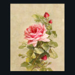 Elegant Vintage Pink Roses ポスター<br><div class="desc">Lovely spray of elegant vintage pink roses and rosebuds in warm tones on painterly artisan tan background.</div>
