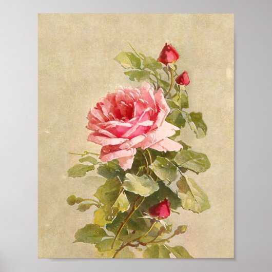 Elegant Vintage Pink Roses ポスター (正面)
