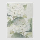 Elegant White Hydrangea Vellum Overlay ベラム紙招待状 (正面)