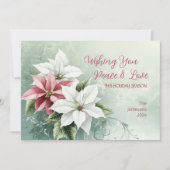 Elegant White Pink Christmas Poinsettias  シーズンカード (正面)