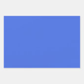 Elegant WRS Gift Wrapping Sheets ラッピングペーパーシート (正面3)