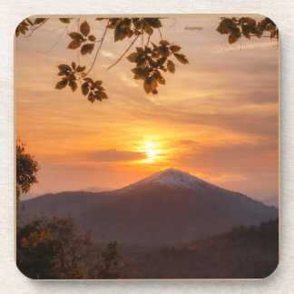 elegante  コースター