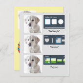 Elements - Frames, Shapes, SVG Masking Test シーズンカード (正面/裏面)