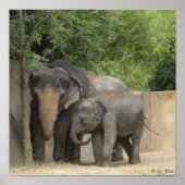 elephant4ポスター ポスター (正面)