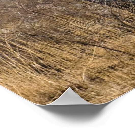 Elephant ポスター (角)