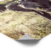 Elephant ポスター (角)