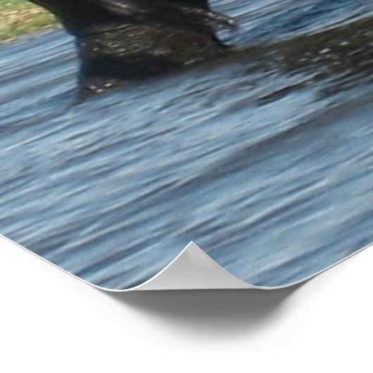 Elephant ポスター (角)