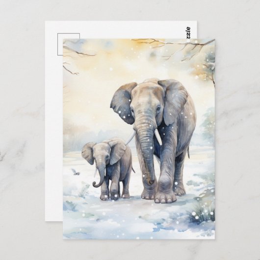 Elephant and Baby ポストカード (正面/裏面)