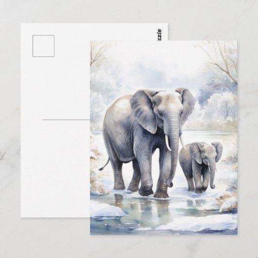 Elephant and Baby ポストカード (正面/裏面)
