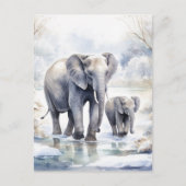Elephant and Baby ポストカード (正面)
