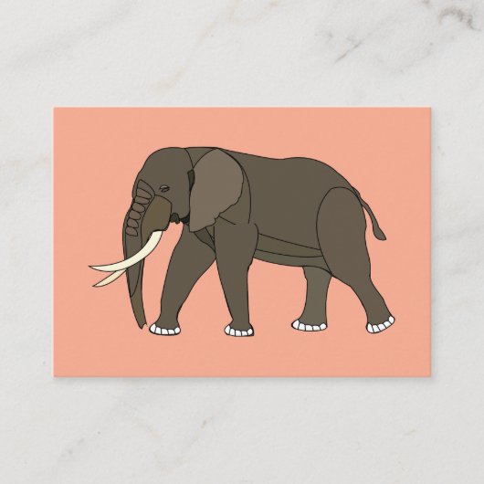 Elephant Animal 名刺 (正面)