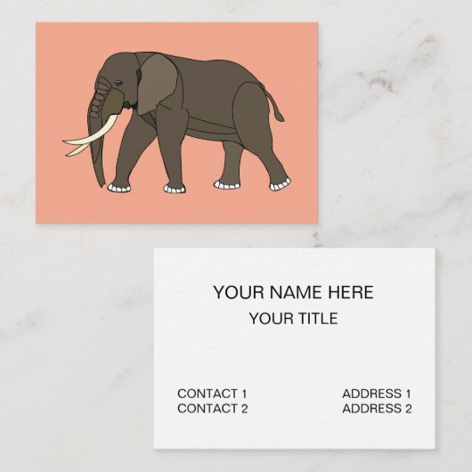 Elephant Animal 名刺 (正面/裏面)