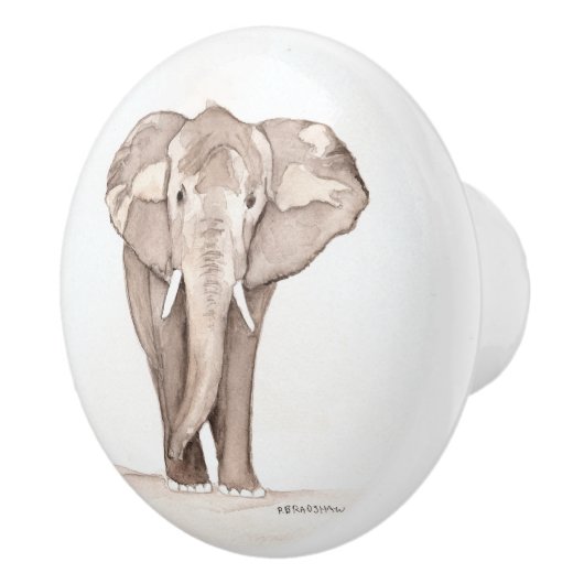 elephant drawer pull セラミックノブ (右)