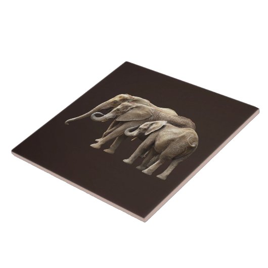 Elephant Family タイル (側面)