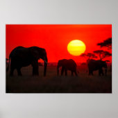 Elephant Family  in Sunset ポスター (正面)