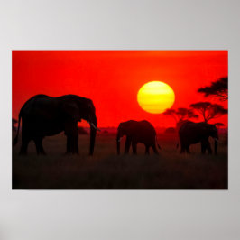 Elephant Family in Sunset ポスター