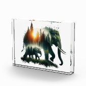 Elephant Forest  フォトブロック (右)