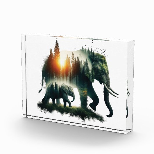 Elephant Forest  フォトブロック (右)