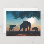 Elephant herd ポストカード (正面/裏面)