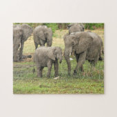 Elephant Herd Photo Puzzle ジグソーパズル (横)
