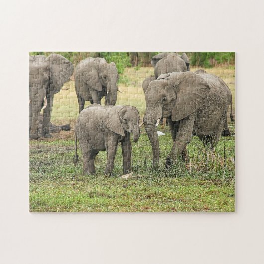 Elephant Herd Photo Puzzle ジグソーパズル (横)