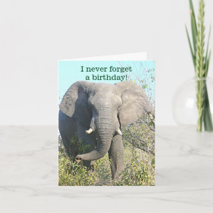 ELEPHANT/Iは決してBIRTHDAY/EXCEPTをあなたの忘れません カード