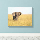 Elephant in Natural Setting Wrapped Canvas Print キャンバスプリント (インサイチュ (ウッドフロア))