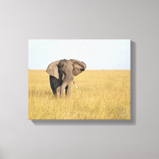 Elephant in Natural Setting Wrapped Canvas Print キャンバスプリント (正面)