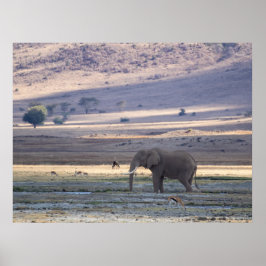 Elephant in Ngorongoro Crater — Wildlife Safari Po ポスター