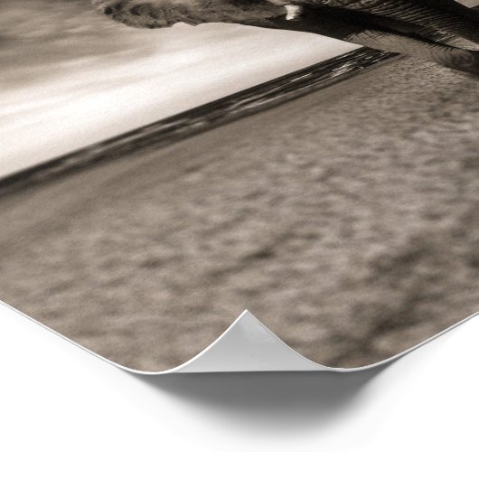 Eléphant noir et blanc ポスター (角)