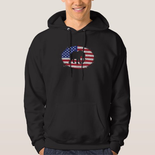 Elephant On American Flag USA  Animal Patriotic Co パーカ (正面)