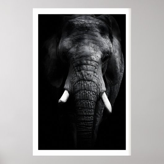 Elephant Portrait Print, Black and White, Tusks ポスター (正面)