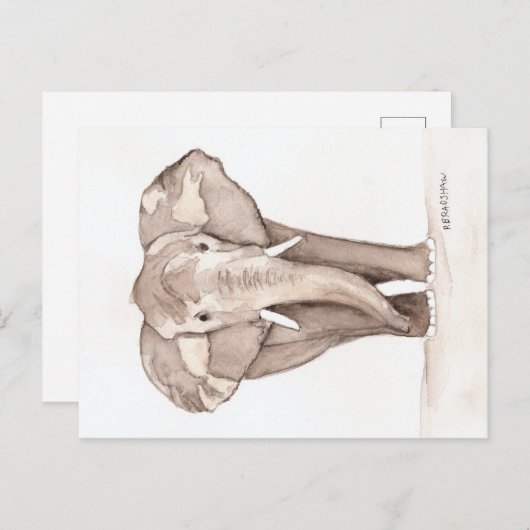 elephant postcard ポストカード (正面/裏面)
