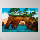 Elephant Rock on Washington Coast ポスター (正面)