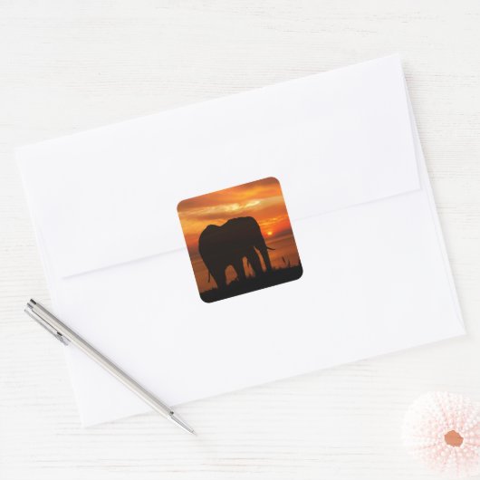 Elephant Silhouette at Sunset スクエアシール (封筒)