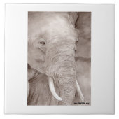 elephant tile タイル (正面)