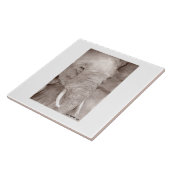 elephant tile タイル (側面)