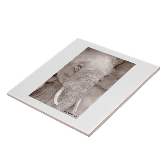 elephant tile タイル (側面)